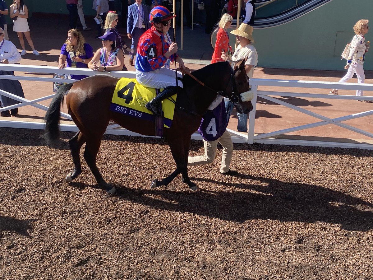 Big Evs on his way to victory in-the ⁦@BreedersCup⁩ Juv Turf Sprint ⁦@santaanitapark⁩ ! I have a great view 😎👏🐎🐎 #lovewhatido #winning