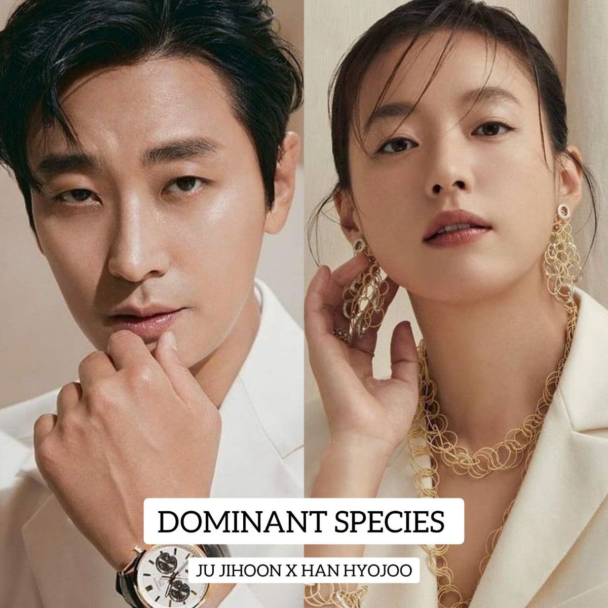 kdrama_menfess's tweet photo. penonton jirisan &amp; happines wajib nungguin •kdm• ini 👏🏻

ju jihoon sbg mantan tentara angkatan laut yg sekarang jd bodyguard
han hyojoo sbg CEO

dramanya masih berhubungan tentang virus, penulis grid dan stranger WHO'S EXCITED? https://t.co/kyM8Cy6qja