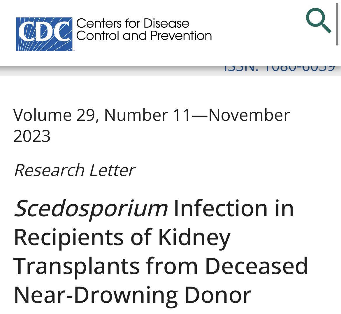 Very interesting cases of #Scedosporium aurianticum infection in recipients of #kidney transplants from deceased near-drowning donor EID journal, bit.ly/45KbDA5 @EIDjournal , Devprakash Choudhary, @HarsimranPGI, @JasmineNephro @shivpatilpgi @mrshivaprakash