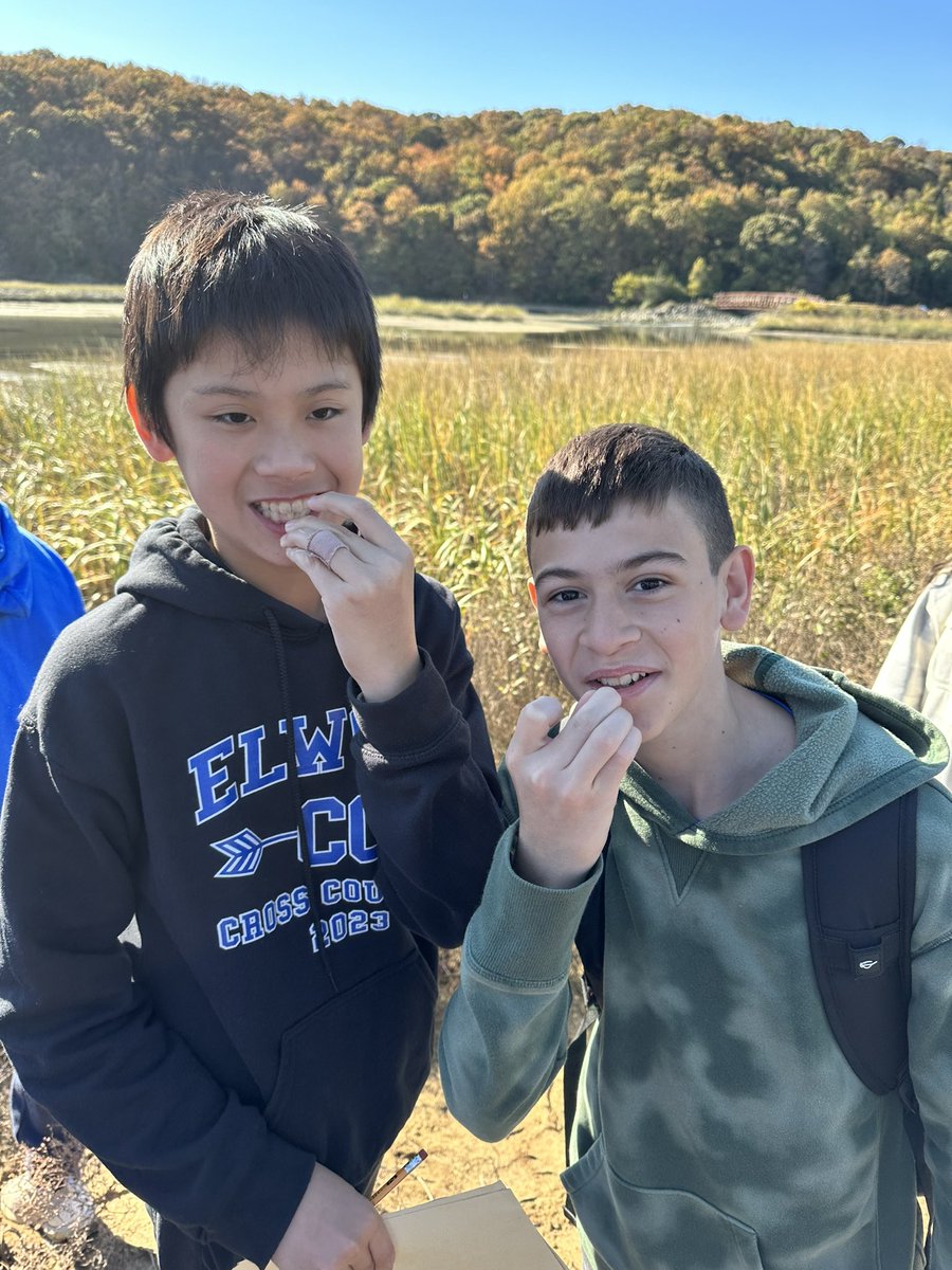 mrvscience217's tweet photo. Great day with a great group.. marsh walk day. As I tell the kids, we can have fun and have fun at the same time. Blue team rocks https://t.co/f5szrkMwOf
