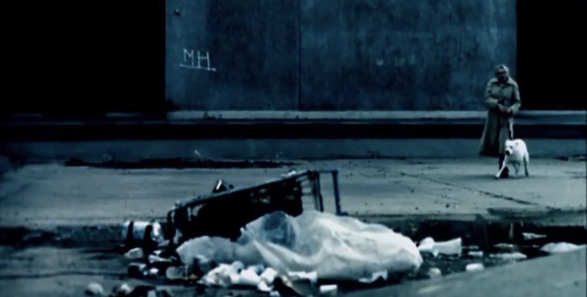 Kyle Edward Ball tweet media