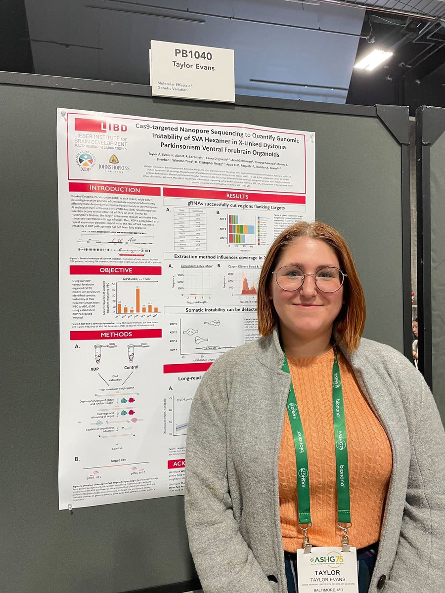 taylorev_'s tweet image. A good day at #ASHG2023! Got lots of visits and questions about our work at the intersection of long read sequencing and somatic instability of repetitive sequences in context of rare disease XDP.

Thanks for the mentorship @jerwinlab @apuapaquola @timp0 🧬 @GeneticsSociety