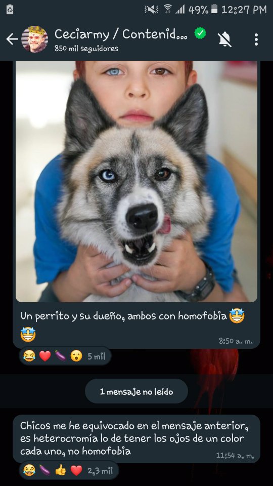 Agus1929's tweet photo. @GillMorrisonJ Como asi? https://t.co/qwHq3tb087