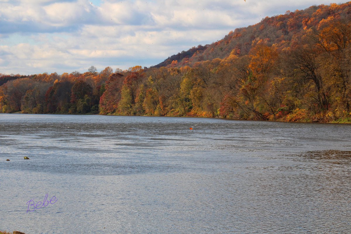 SaltyBebeFL's tweet photo. Beautiful Turtle Beach at the Delaware Water Gap in New Jersey is still gorgeous, even past peek!
#NewJersey #delawarewatergap #njwx #StormHour #landscapephotography #TwitterNatureCommunity #beautiful https://t.co/7TF3Vsf7pP