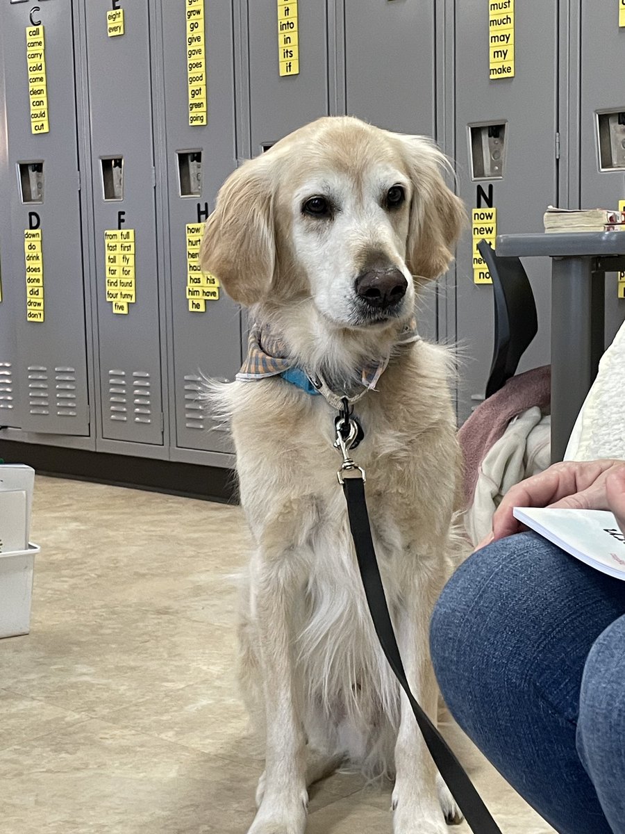 Homestead ES tweet media