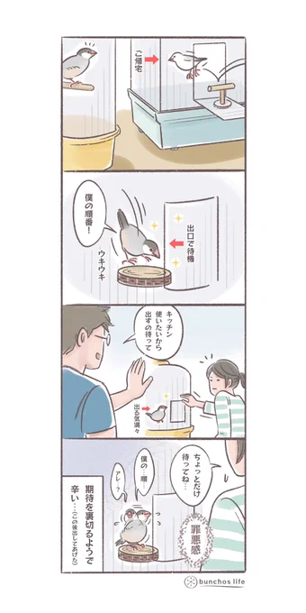 安全のためとは言え、自分の順番と期待して待ち構えているところに待てをするのが辛い…
#文鳥 
#4コマ漫画 