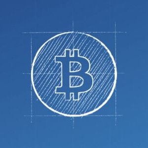 nuris carol taveras  tweet media