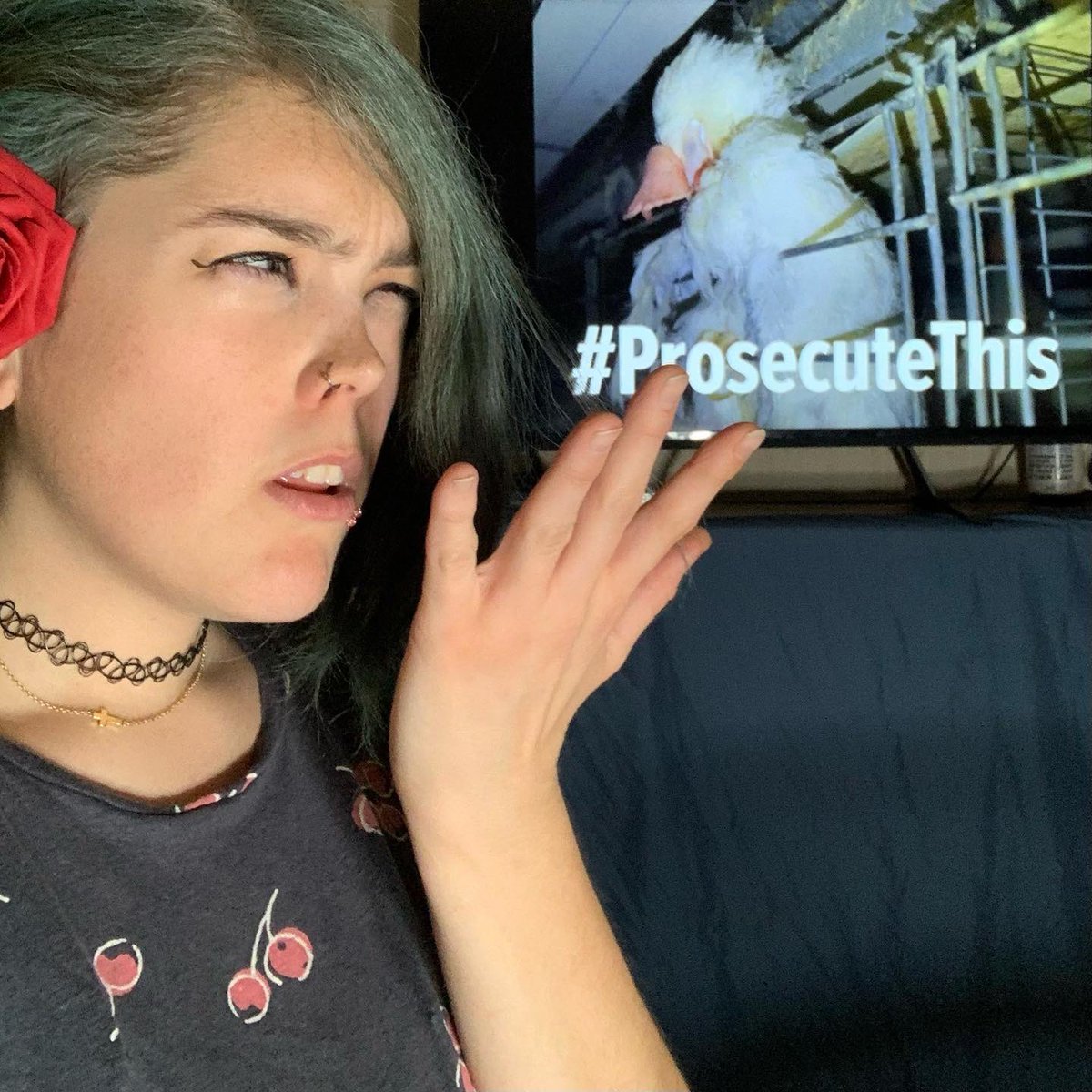 AnaXOXY_prolife's tweet image. I just really wanna know why you think criminal animal cruelty is worth ignoring while you jail an activist working to do your job for you @SonomaCoDA ??? #ProsecuteThis