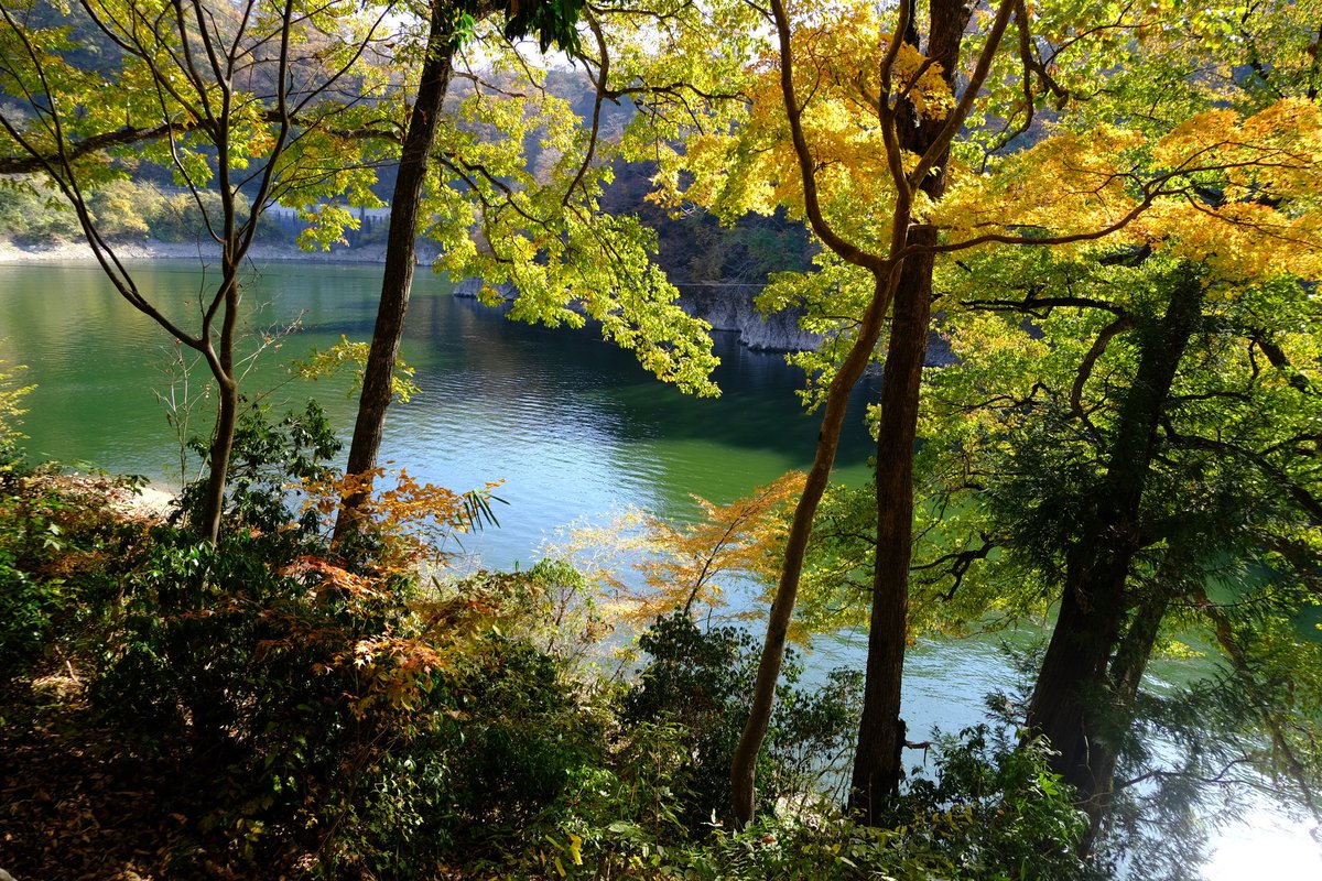 StoneWu92's tweet photo. 🍁🍁 https://t.co/aILfSGXcoV