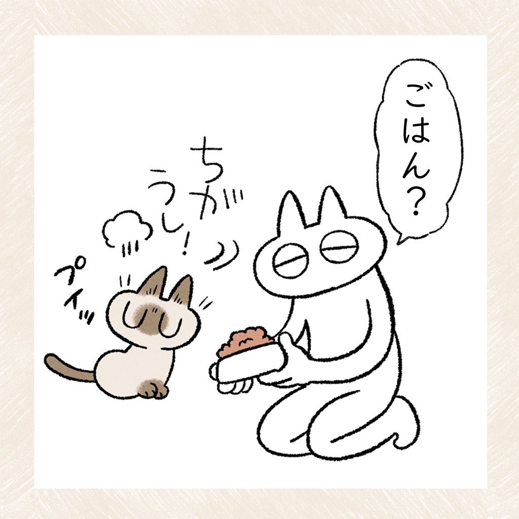 猫と暮らすということ(2/2)  #シャム猫あずきさんは世界の中心