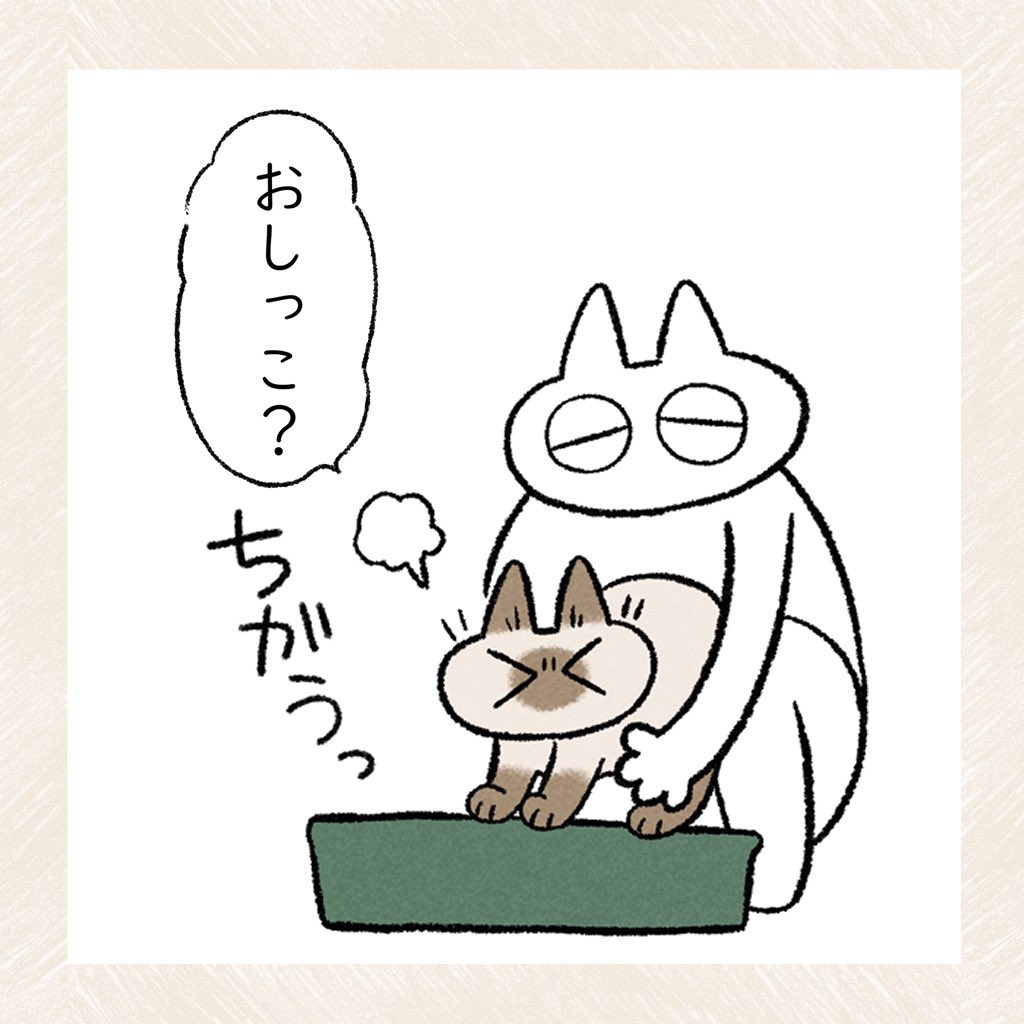猫と暮らすということ(2/2)  #シャム猫あずきさんは世界の中心