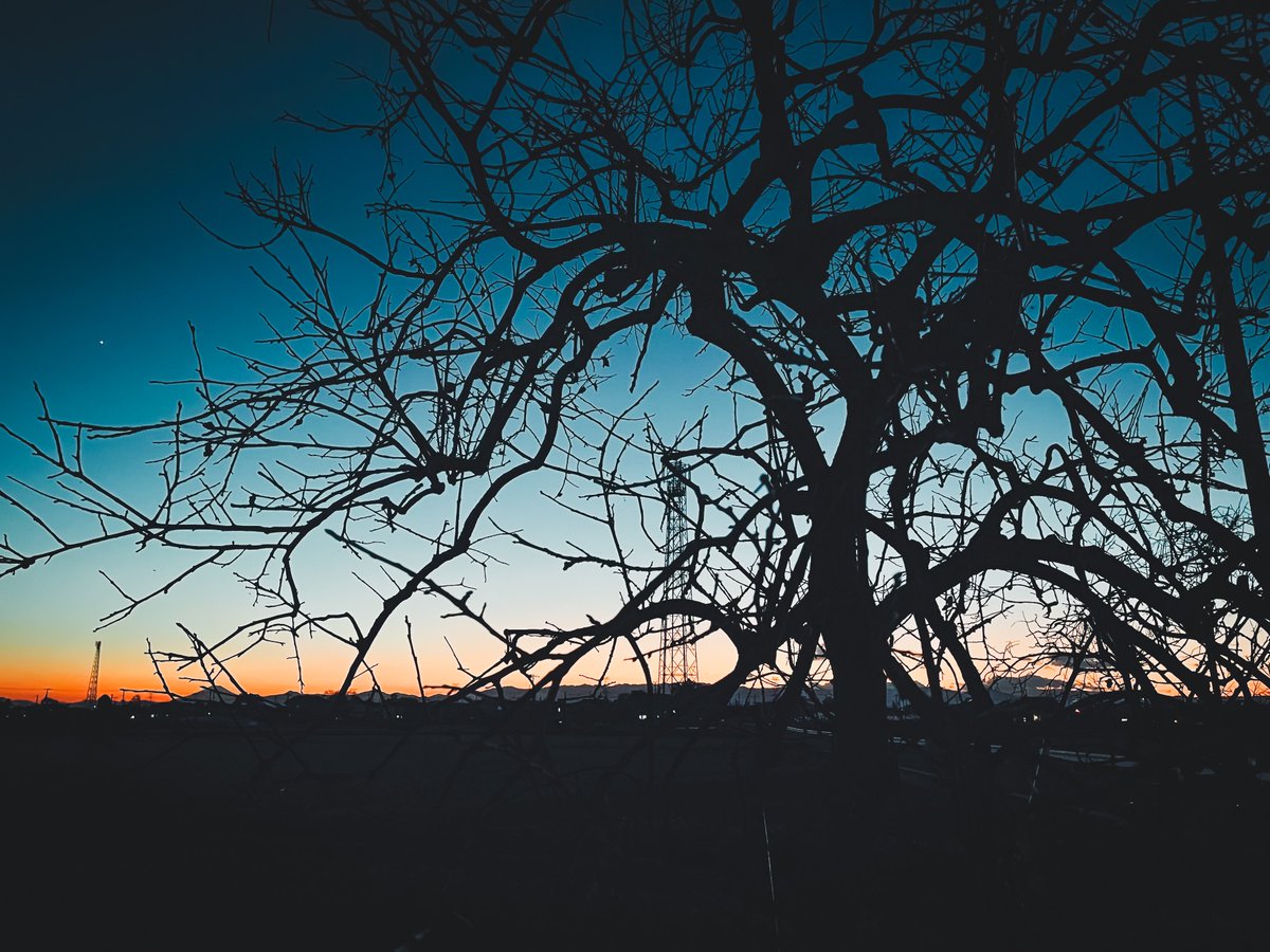 Eye_drops_flow's tweet image. 毎日いい感じで焼けてるね👍