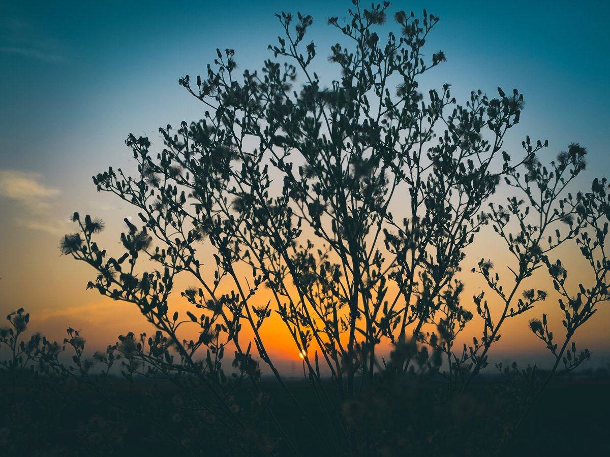 Eye_drops_flow's tweet image. 毎日いい感じで焼けてるね👍