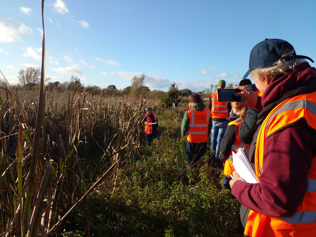 And a great end to the @DeptOfSciSETU inblock MSc sessions with visit to Iverk Produce - quality control, energy efficiency and recycling of nutrient, soil and water is vital. @NatOrgSkill @DeptOfSciSETU @SETUAgriculture @agriculture_ie @Dept_ECC @Bordbia