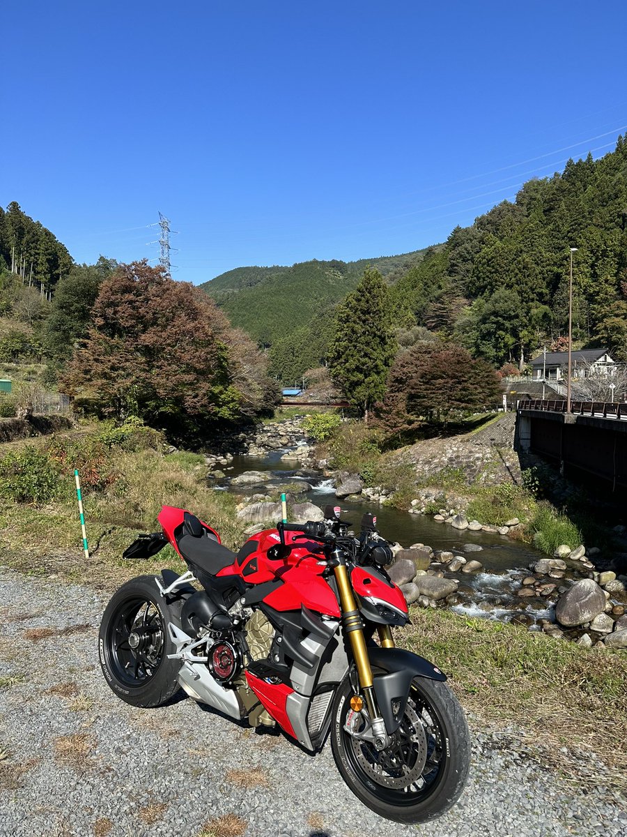 prettydambo's tweet photo. 少し色づいてきてました https://t.co/Ocb8z5ALsZ