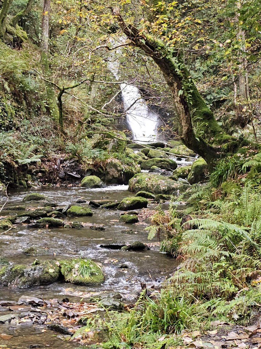 A view of Dolgoch waterfall, Snowdonia. #Waterfall #Snowdonia #Wales