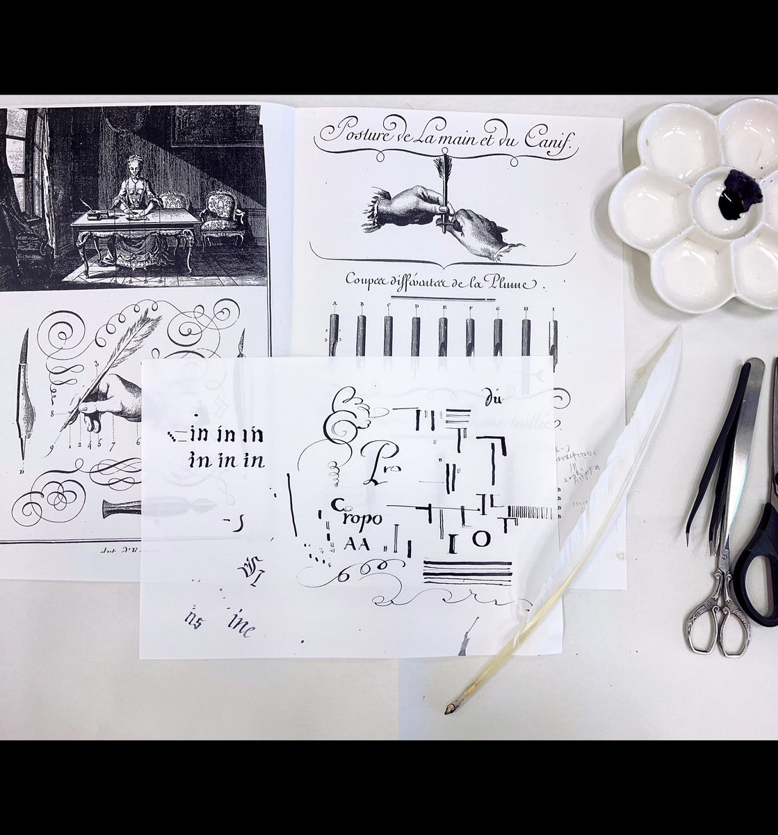 「カルチャースクールで、羽根ペンの作り方を勉強してきました 」|Samille(さみぃゆ)のイラスト