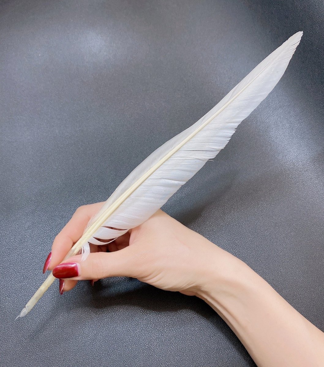 「カルチャースクールで、羽根ペンの作り方を勉強してきました 」|Samille(さみぃゆ)のイラスト