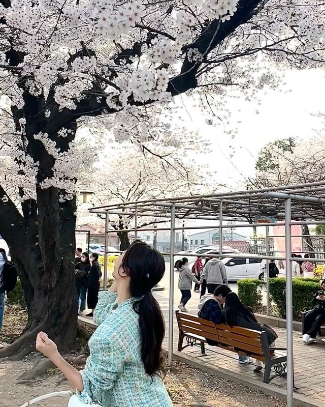 kurniawanyulu's tweet photo. https://t.co/TkZfsd81l2