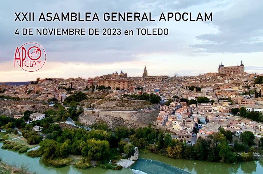 Hoy celebramos en Toledo nuestra XXII Asamblea General Ordinaria. Es nuestro momento anual de encuentro y toma de decisiones para no dejar de avanzar por la orientación educativa en Castilla-La Mancha.
