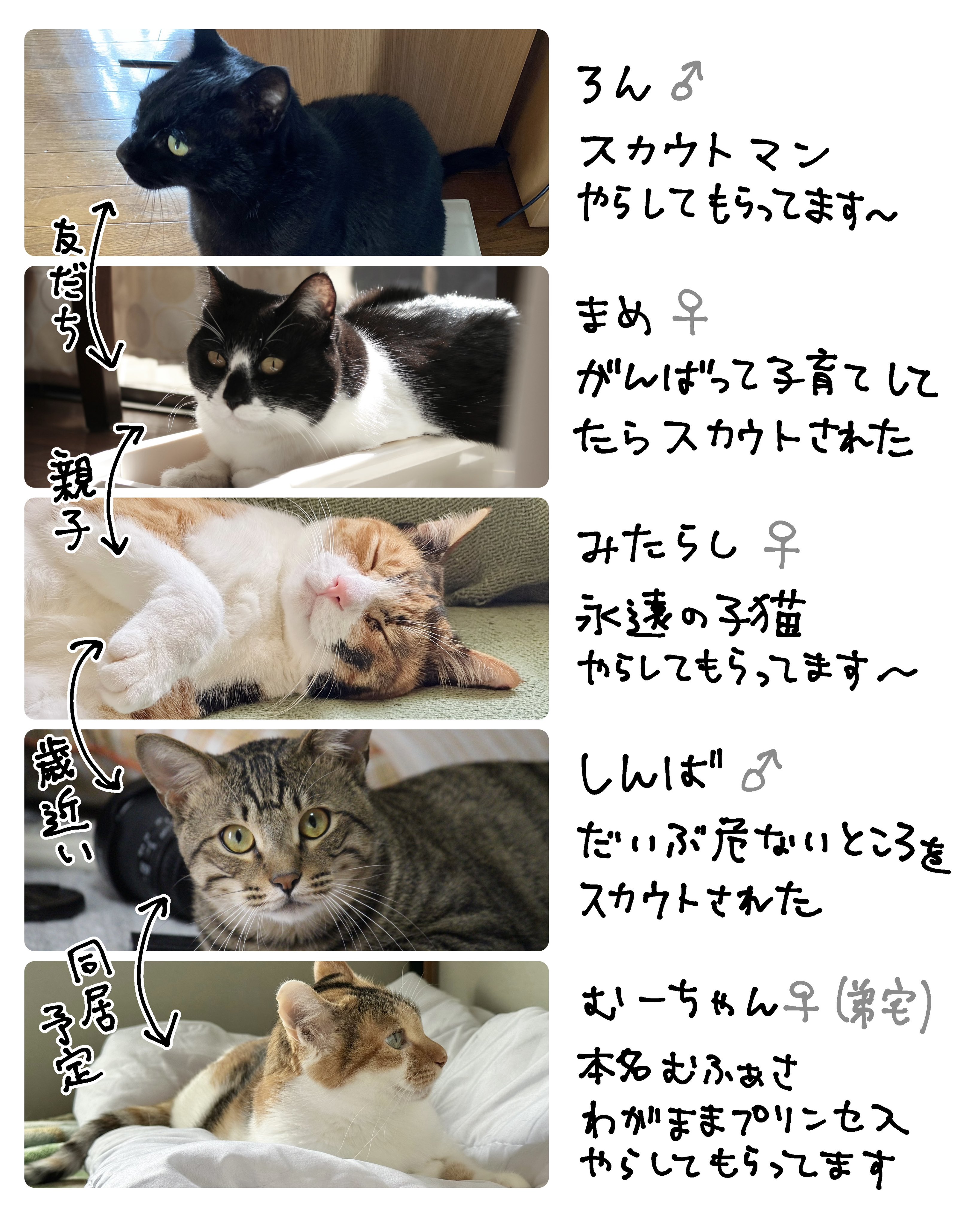 AKR｜7巻でたよ on X: 