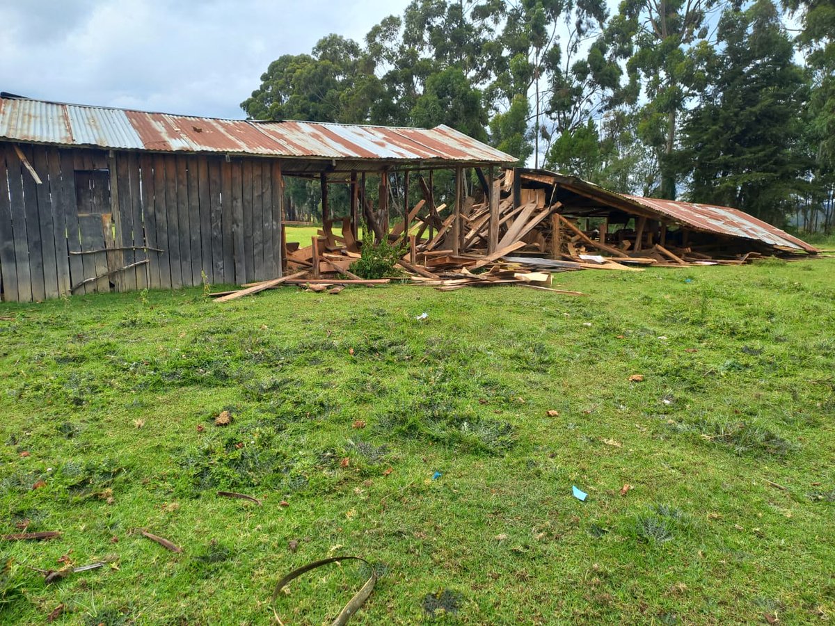 ogiekyouths's tweet image. The paradox of youth:A BROKEN promise by the government.It is disheartening to witness a government betray its obligations towards the youth and jeopardize their future prospects.Stop Ogiek eviction from Sasimwani, Narok North County.#IstandwithOgiek #stoptheeviction .
