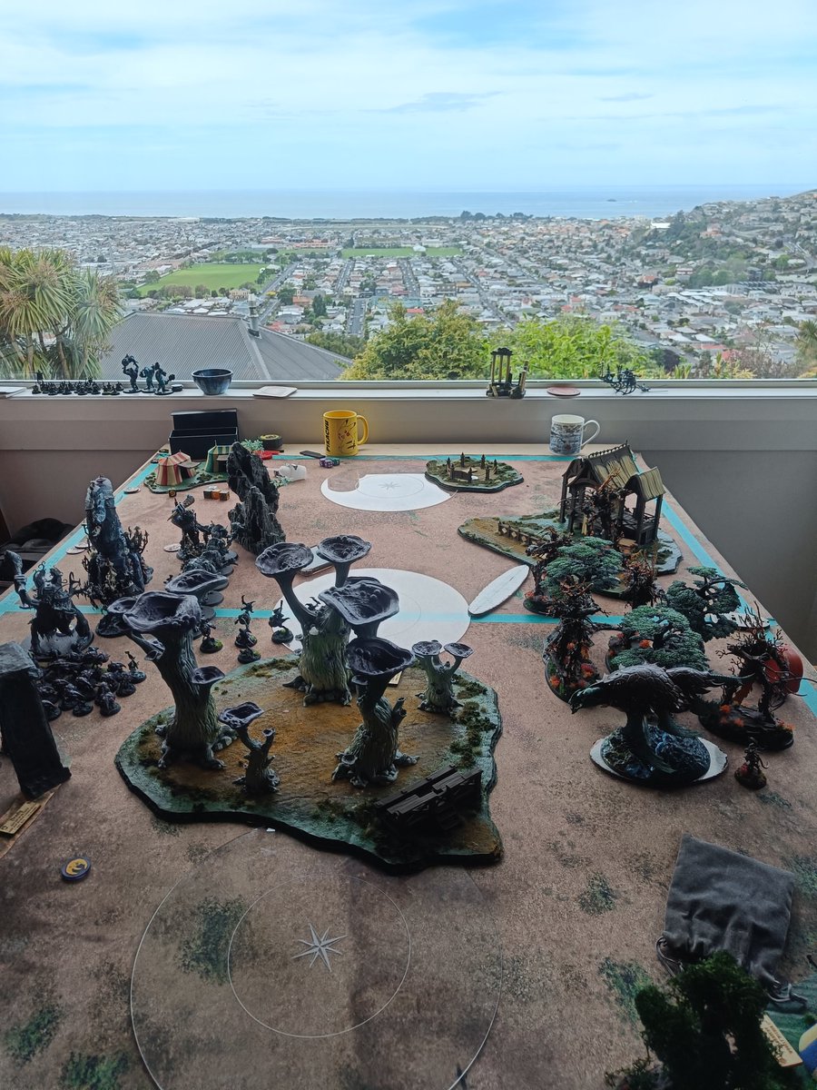 Michael - Tree Enthusiast tweet media