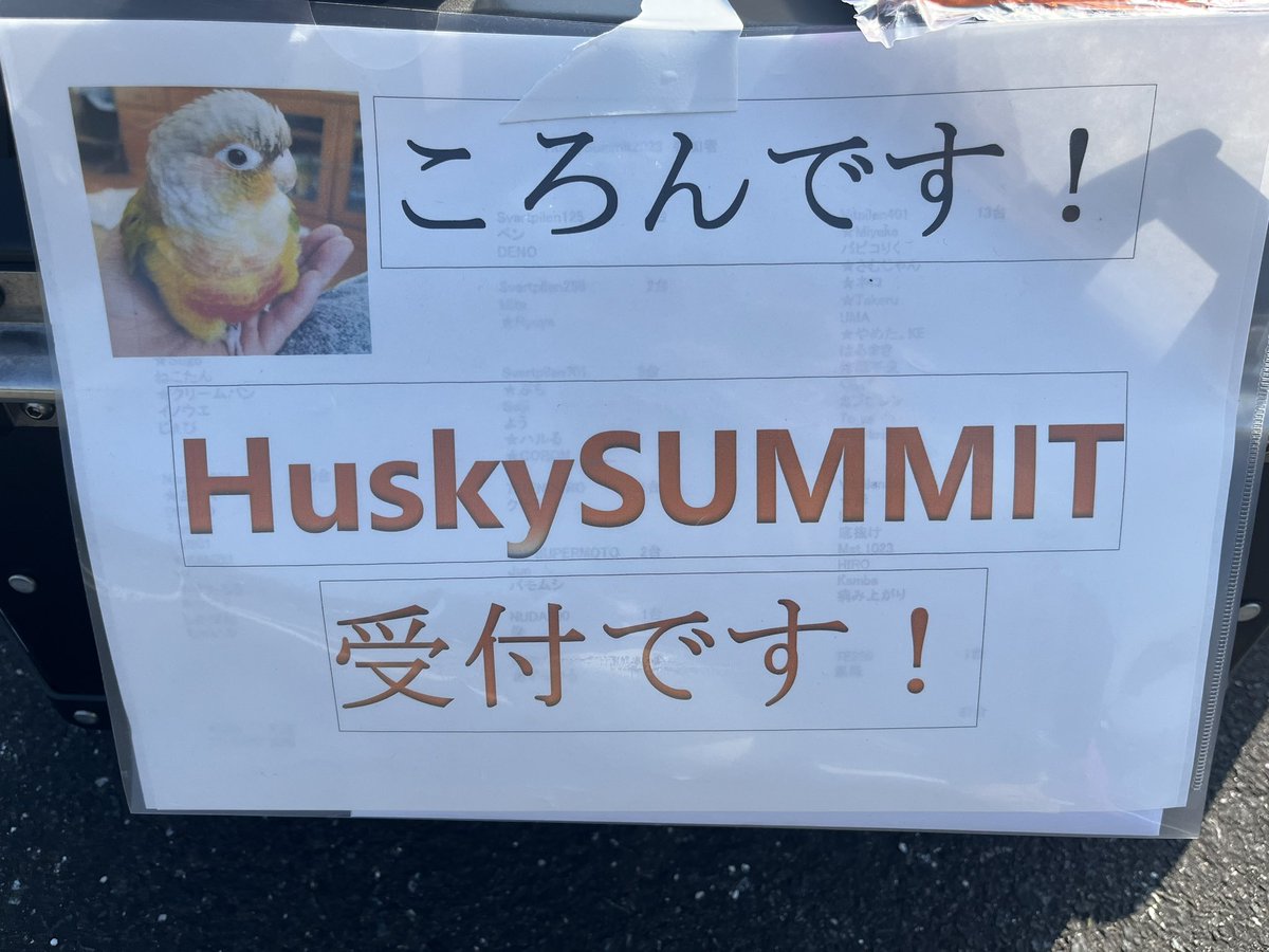 受付のお姉さんの愛鳥 ころんちゃん、