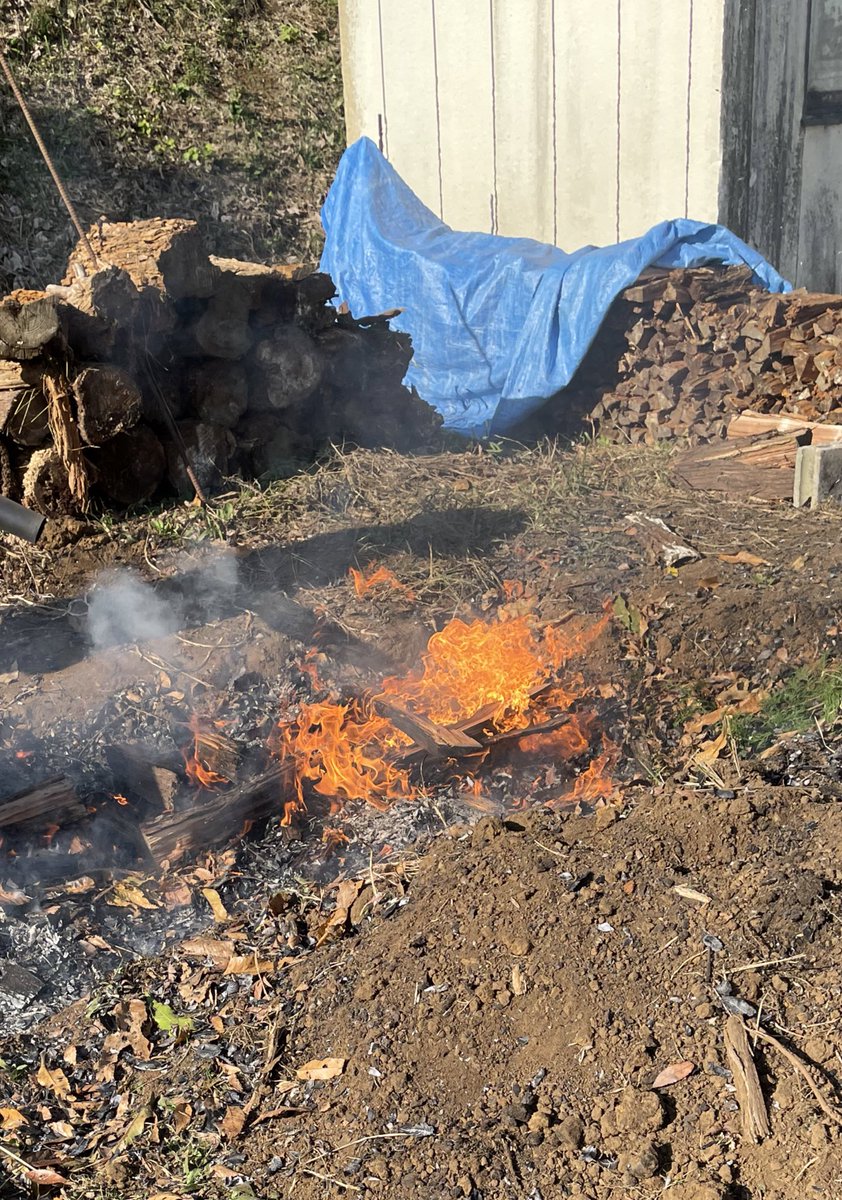 「ちょっと気温的にはアレですけど焼き芋焼くお手伝いをしてました 」|胡々奈纉　篶のイラスト