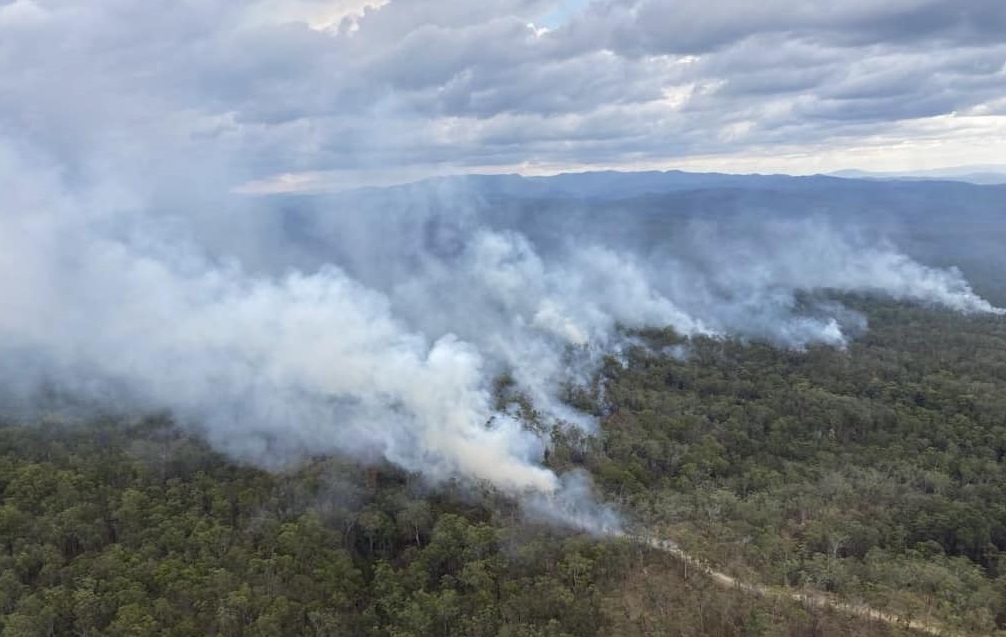 Interstate assistance has been welcomed today on the Glens Creek Rd Fire, Nymboida (Clarence Valley LGA). Strike Teams from Tasmania have been undertaking backburning operations, giving local crews much appreciated rest. Latest fire information at rfs.nsw.gov.au/fnm #RFS
