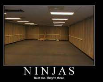 dolor211's tweet image. #scroll #scrollecosystem #ScrollNinjas

@traincrew_web3
@amirskni911
@secretcrypto65