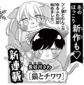 【お知らせ】Sho-ComiX12/15号(11/15発売)から「猫とチワワ」というエッセイ連載始まります〜!!!!!略して🐱ねこちわ🐶です!!!女の子2人の同居生活になります!来月からよろしくお願いします〜!!