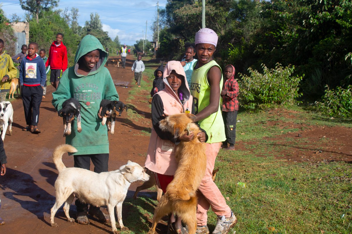 MpalaWildDogs's tweet photo. Day 2 of #LRVC2023 is in full swing.
Thrilled to see our young community members fully embracing the rabies vaccinations. Children are setting an example for us all with their responsibility towards their pets.
#ResponsiblePetOwnership #RabiesPrevention https://t.co/SFamLQfzUA