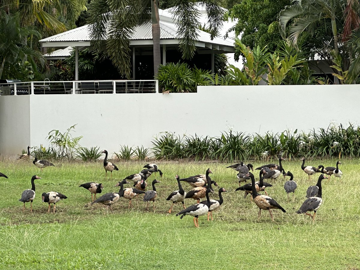 Jenny Davis tweet media