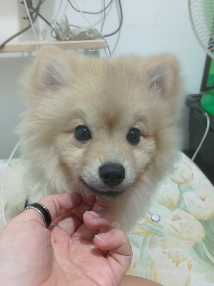 Slurp (@mistress_slurp) on Twitter photo 