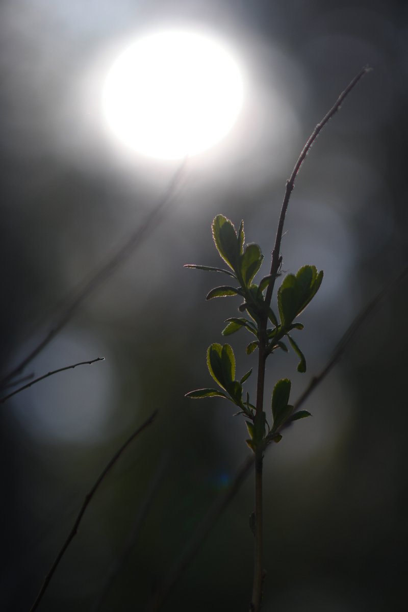 ❤️ Muistaminen on tärkeä osa surua, mutta ennen kaikkea se on iäti elävää rakkautta. Kenelle sinä sytytät tänään kaipauksen kynttilän? Rauhallista pyhäinpäivää.