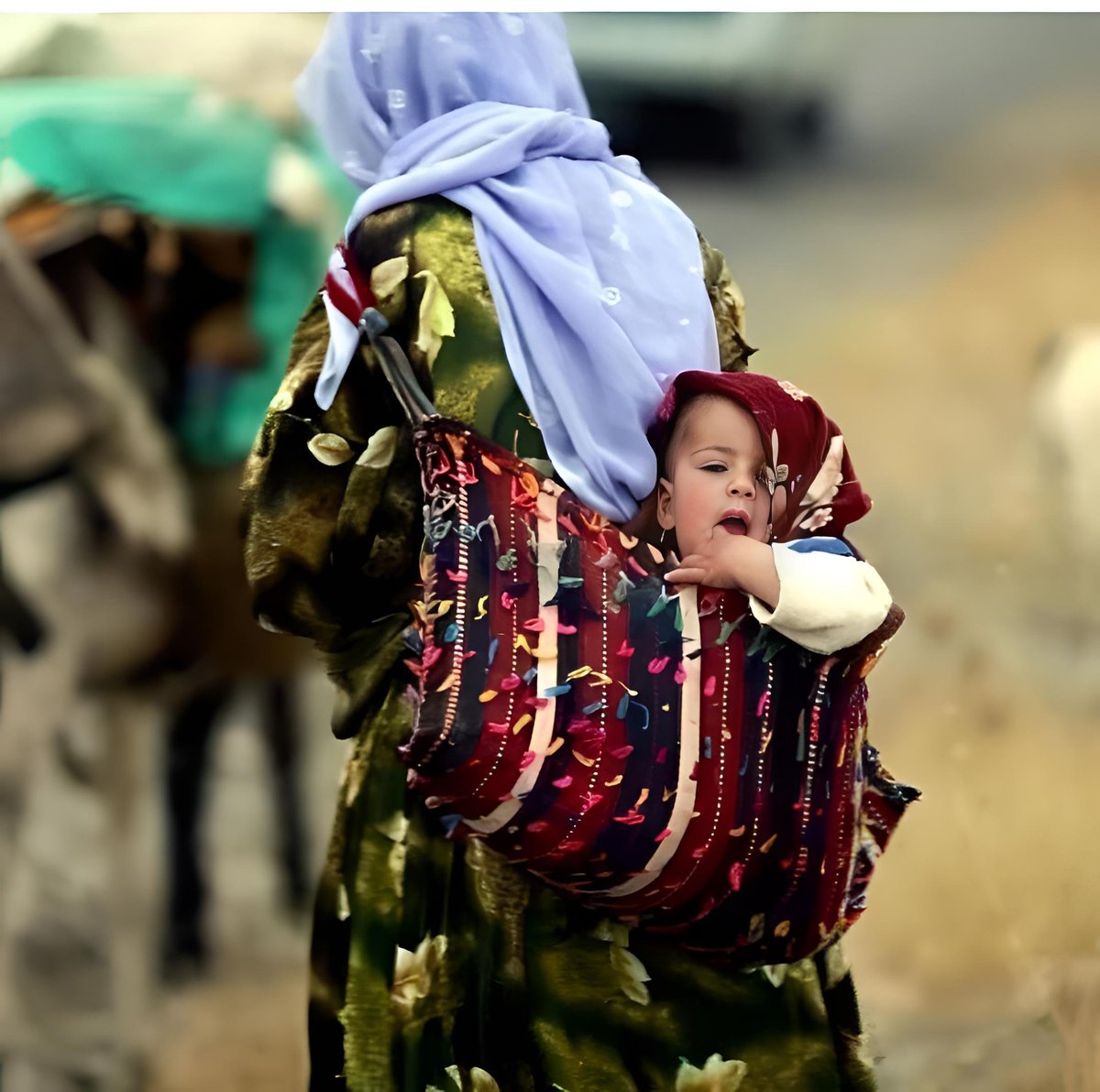 ✨Özgürlük yoldan çıkmak değil, dilediği yoldan gitmektir 💚
.

#Kurd #Kurds #azadi #özgür