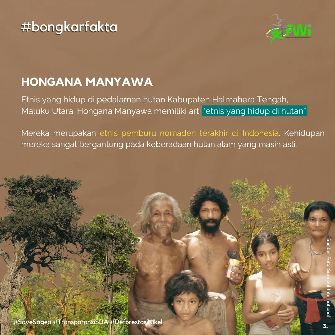 fwindonesia's tweet photo. Hongana Manyawa merupakan etnis pemburu nomaden terakhir di Indonesia, mereka bergantung pada keberadaan hutan alam.
Kehadiran perusahaan-perusahaan tambang tersebut merupakan ancaman bagi etnis Hongana Manyawa.
#BongkarFakta
#transparansiSDA
#deforestasiNIKEL
#savesagea https://t.co/99cG7DjA2r