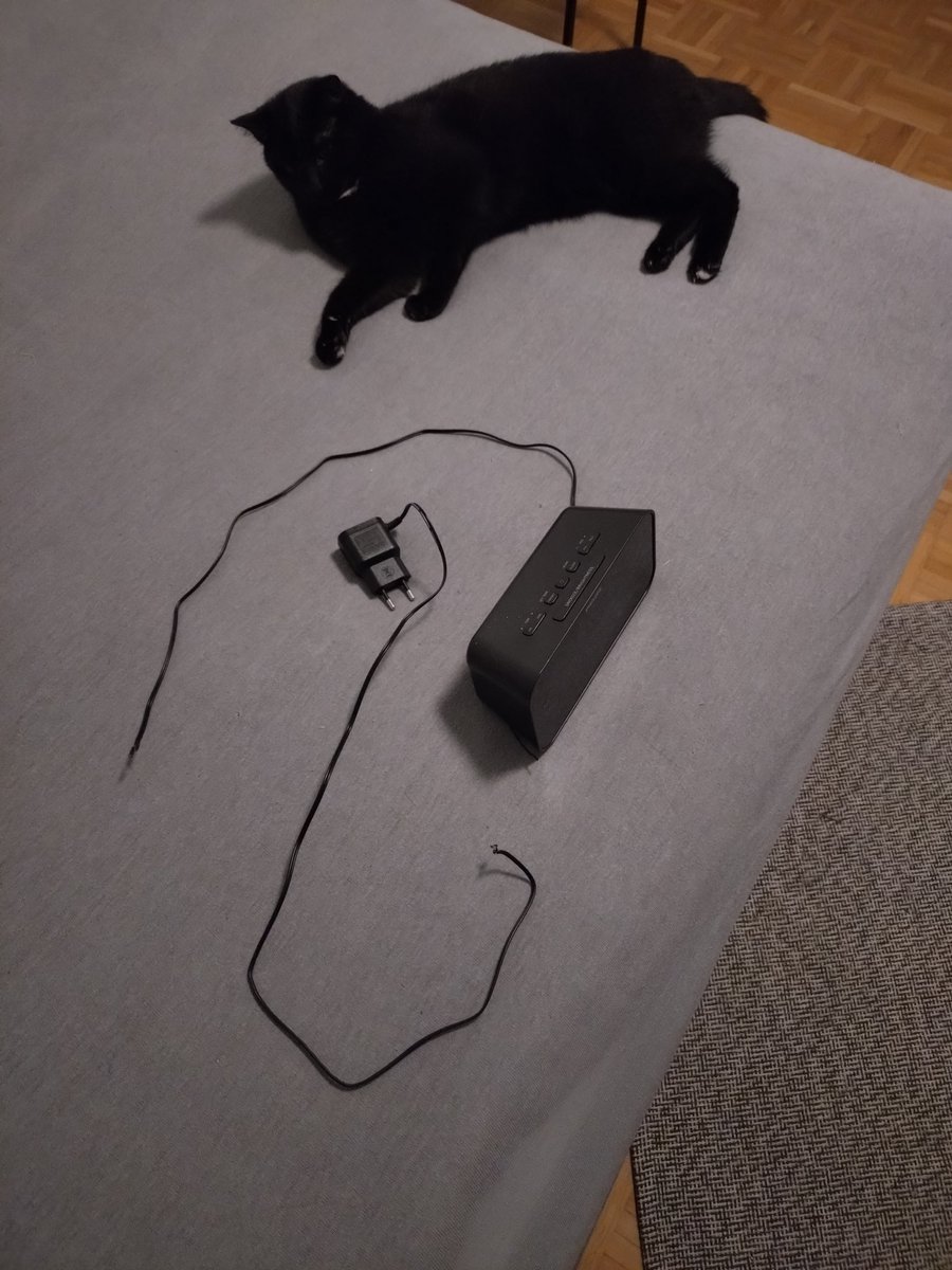 Morning #Hedgewatch. I helped dad to sleep a little bit longer.
But he is not happy and says he fears that I get a shock when I hunt the cables.
Does anyone know how to stop that habit?