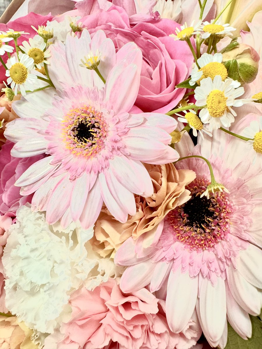 今日は東京電機大学旭祭でのトークショーでした🌸 沢山お話させて