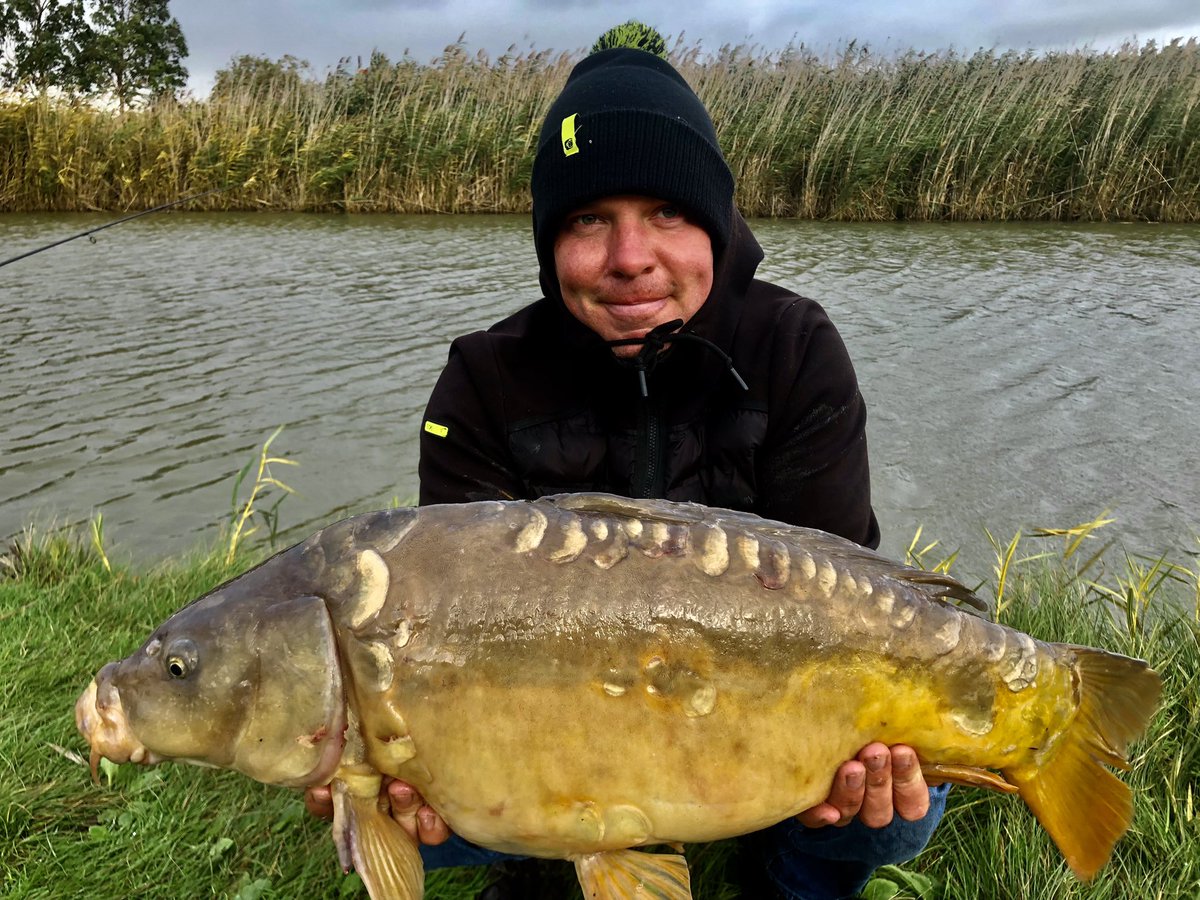 Danny stockwell tweet media