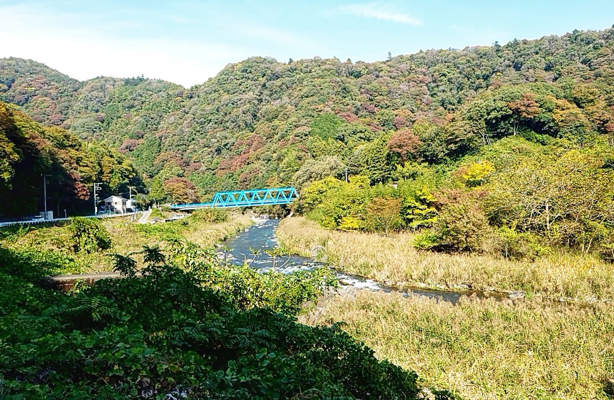 _l___l_'s tweet photo. ちょっとだけ紅葉してる木おる https://t.co/sLhTnUbork