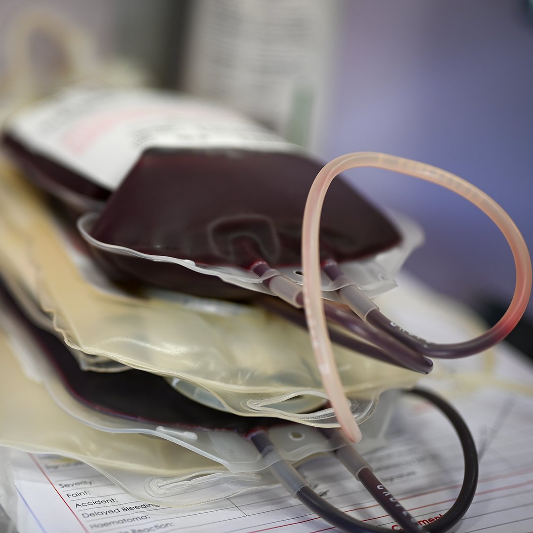 theSANBS's tweet photo. NOTICE TO BLOOD DONORS | Today marks the final opportunity to donate blood before the suspension of blood collections on Sun &amp; Mon as we prepare to introduce our new digital questionnaire, scheduled for launch on November 7th! #DonateToday #DigitalQuestionnaire #SANBSGoesDigital https://t.co/skIjOSKeaw