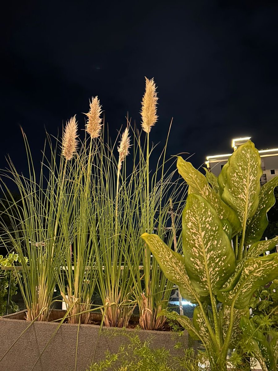 SabrinaKitaka's tweet image. Beautiful #FourPoints by Sheraton #Kampala