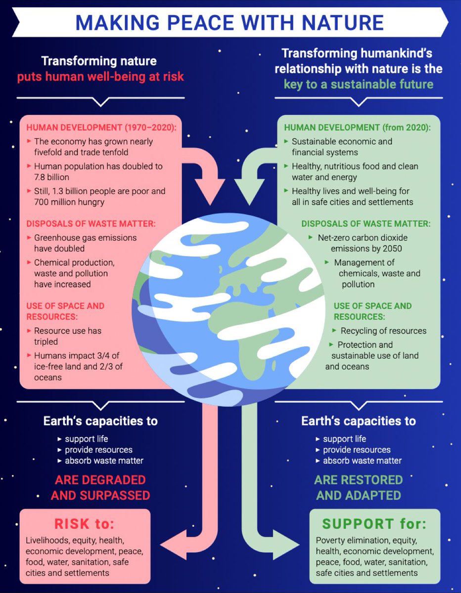 UN Biodiversity tweet media