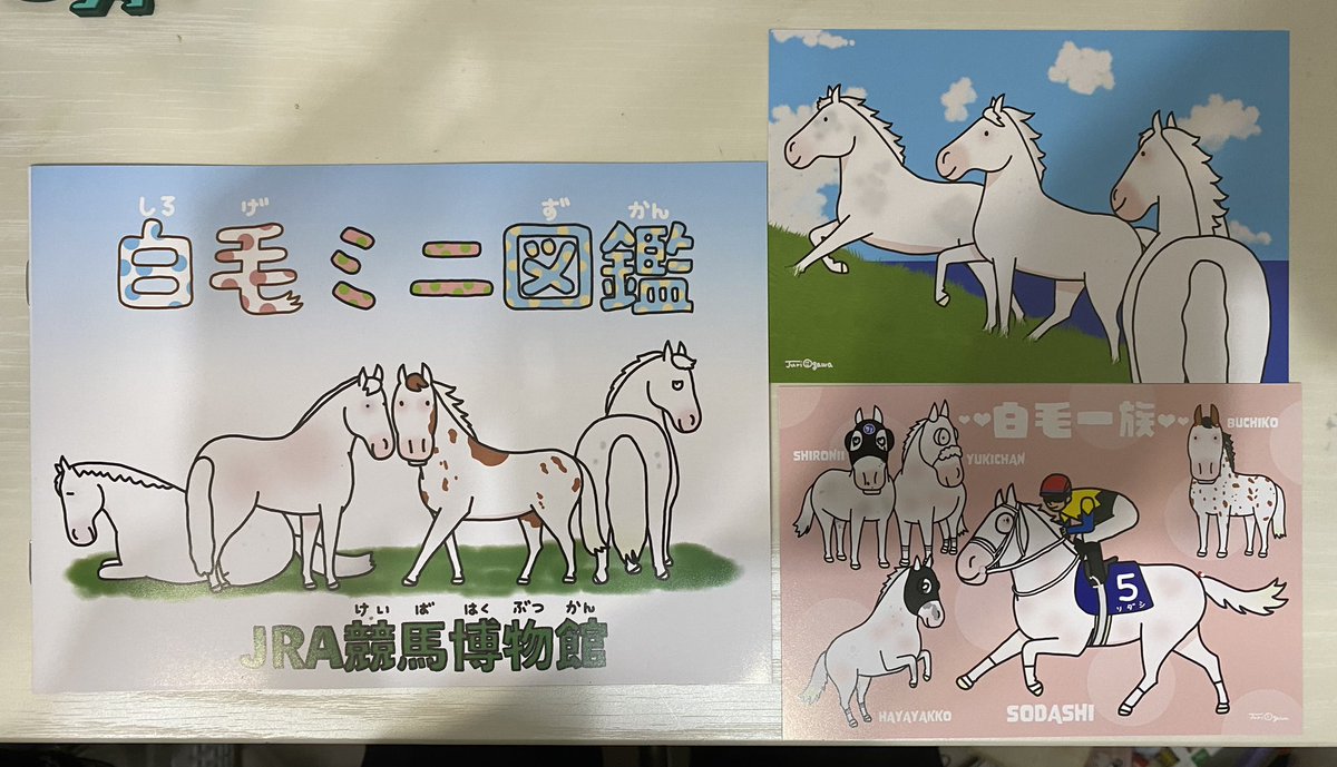 東京競馬場の
JRA競馬博物館で行われている
白毛展では
ポストカードの配布
(アンケートを答えた方)や
ミニ図鑑の配布などが
ありますので、どうぞ
お立ち寄り下さいませ☺️ 