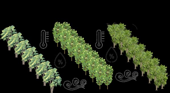 Til Feike tweet media