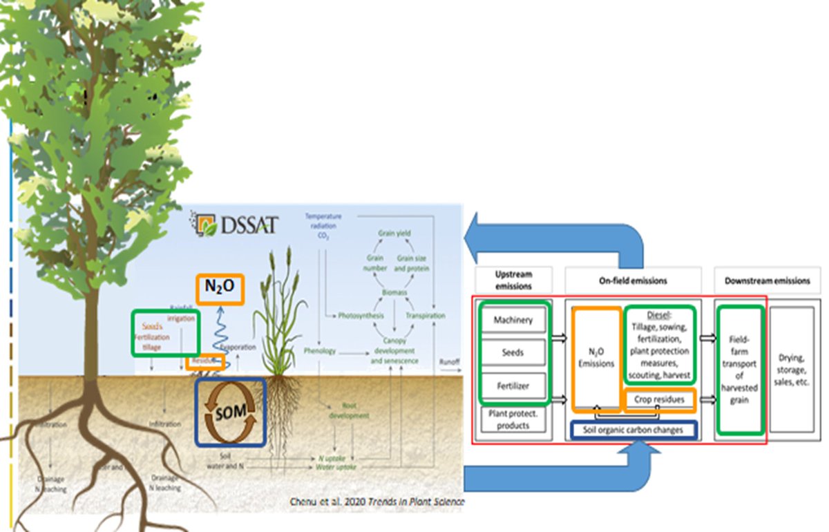 Til Feike (@feiketil) on Twitter photo We offer a Postdoc position to develop a model-based decision support system for #agroforestry (AF) together with our international team of modeling experts and AF enthusiasts <a href="/JKI_Bund/">Julius Kühn-Institut</a>
Apply until Nov 10!
interamt.de/koop/app/stell…
#climatechangemitigation <a href="/Agroforst_DeFAF/">Deutscher Fachverband für Agroforstwirtschaft</a> We offer a Postdoc position to develop a model-based decision support system for #agroforestry (AF) together with our international team of modeling experts and AF enthusiasts <a href="/JKI_Bund/">Julius Kühn-Institut</a>
Apply until Nov 10!
interamt.de/koop/app/stell…
#climatechangemitigation <a href="/Agroforst_DeFAF/">Deutscher Fachverband für Agroforstwirtschaft</a>
