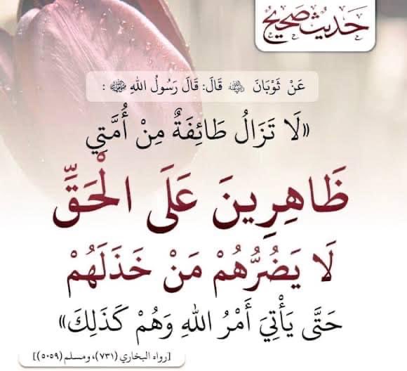 لا يضرهم من خذلهم 💪🏼

صدق الرسول ﷺ 💚