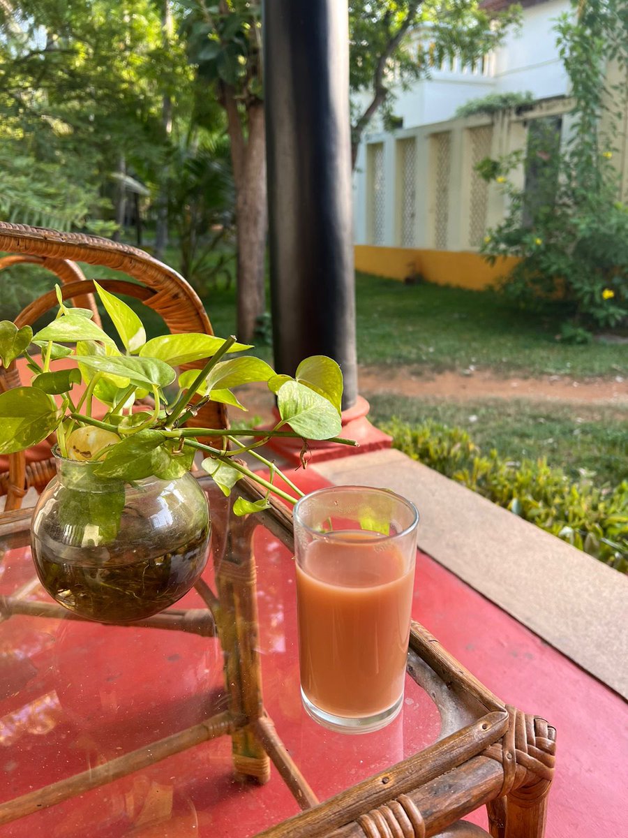 mayaspeak1's tweet photo. Diraviyam - a unique offering by #MantraKoodam, @CGH_Earth 

This organic juice bar is a wonderful alternative to the traditional bars at most resorts

#SoloTravel #CGHEarth #Kumbakonam #Diraviyam #LuxuryRedefined #IncredibleIndia #MayaSpeak https://t.co/N8JKLrdsdz